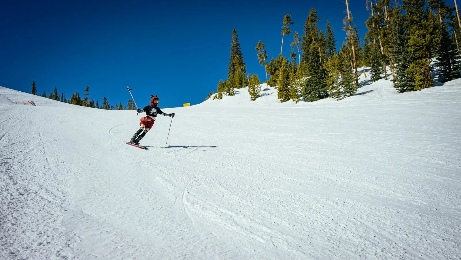 How to Choose Telemark Boots and Skis